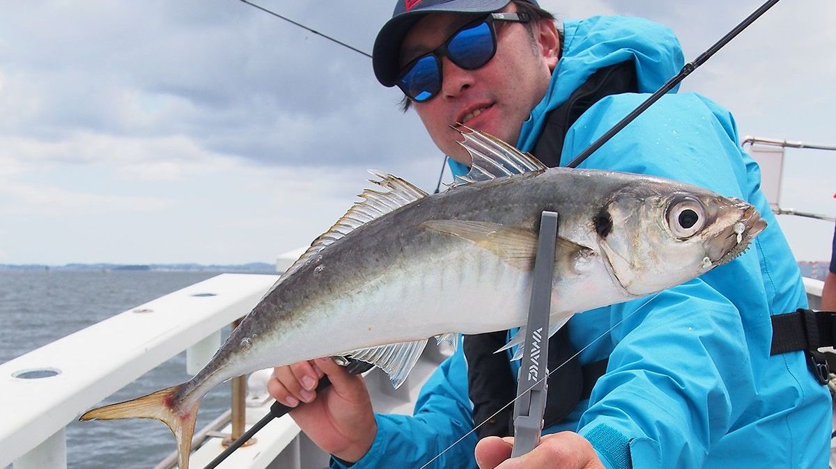 アジングのNEWスタイル「バチコン」の釣り方詳細解説！ 基本編 | 魚